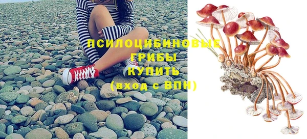 винт Арсеньев