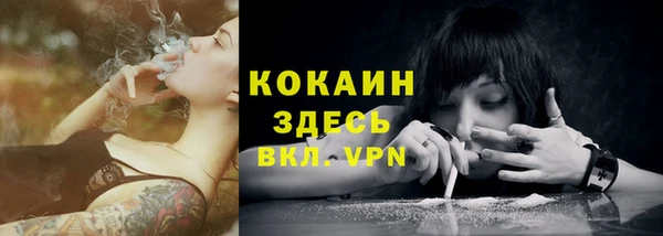 винт Арсеньев