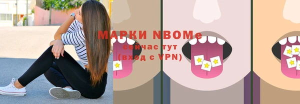 индика Армянск