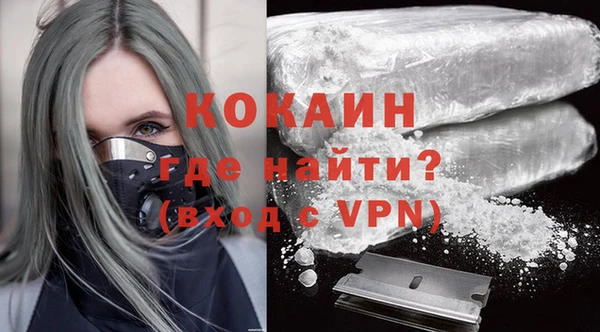 индика Армянск