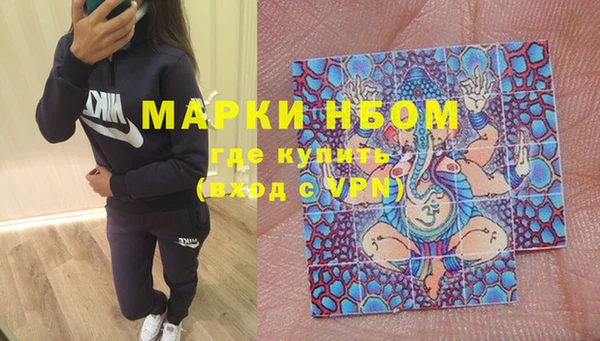 индика Армянск