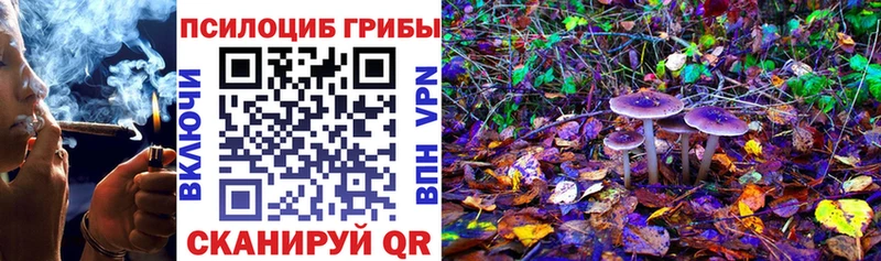 kraken сайт  Кировск  Галлюциногенные грибы мицелий 
