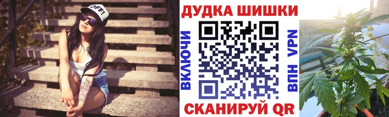 как найти наркотики Кировск Бошки Шишки гибрид